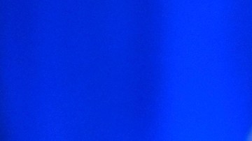 Una avenida en Florida llevará el nombre de Donald Trump