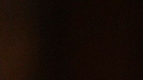 ¿Por qué Trump solicita retrasar la implementación de ley que afecta a TikTok?