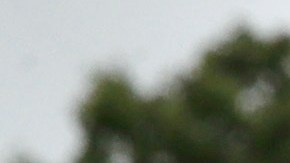 Foto de archivo de AP de una manifestación en favor de la DACA de "dreamers" o "soñadores" en las afueras de la Casa Blanca en 2017.