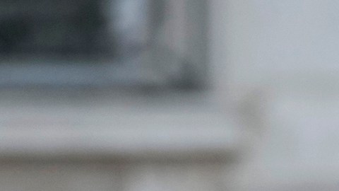 Oposición de Venezuela afirma que la gran mayoría votó por Edmundo González