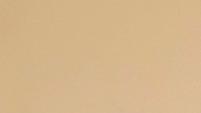 Trump niega influencia de Elon Musk: "Él no asumirá la Presidencia"