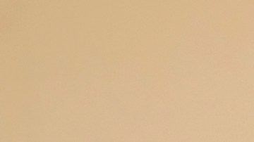 Trump niega influencia de Elon Musk: "Él no asumirá la Presidencia"