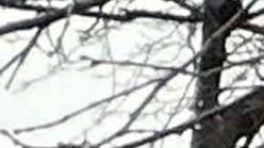 Los vehículos de emergencia están estacionados afuera de la escuela cristiana Abundant Life en Madison, Wisconsin, donde se reportaron múltiples heridos luego de un tiroteo, el lunes 16 de diciembre de 2024.