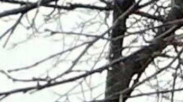 Los vehículos de emergencia están estacionados afuera de la escuela cristiana Abundant Life en Madison, Wisconsin, donde se reportaron múltiples heridos luego de un tiroteo, el lunes 16 de diciembre de 2024.