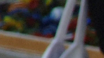 Aracely Arámbula y Luis Miguel tuvieron dos hijos durante su relación.