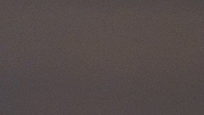 Las autoridades sanitarias no han recibido reportes de personas afectadas por el consumo del hongo enoki.