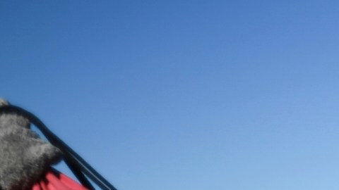 ICE deporta a 70,000 no ciudadanos en el tercer trimestre fiscal 2024