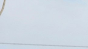 Daniel Noboa destaca lucha contra la inseguridad en Ecuador: "No había ni Dios ni ley"