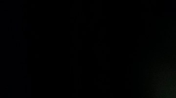 Joe Biden expresa "total apoyo" a una transición en Siria