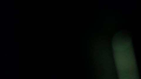 Joe Biden expresa "total apoyo" a una transición en Siria