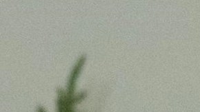 Biden dice que la debilidad de Irán y Rusia provocó la caída de Bashar al-Asad