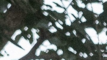 Julián Gil y Valeria Marín inician su viaje juntos como pareja casada.