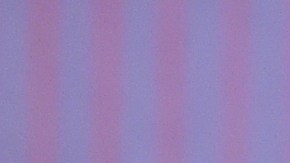 Lizzo ha sido firme en negar las acusaciones.