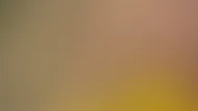 Malone se declaró no culpable de matar a su novia, Aspen Lewis.