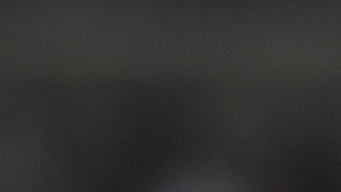 Luiz Henrique, jugador del Botafogo, último equipo que selló su clasificación al Mundial de Clubes tras ganar la Copa Libertadores.