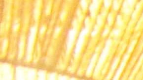 El diseño interior transporta a los comensales a la cultura vibrante y artística de Puerto Vallarta