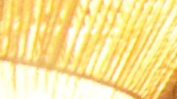 El diseño interior transporta a los comensales a la cultura vibrante y artística de Puerto Vallarta