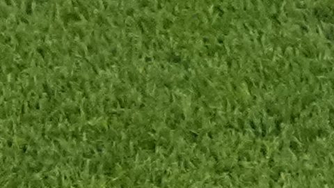 Lamine Yamal celebra durante el partido de la Euro 2024 entre España y Francia.