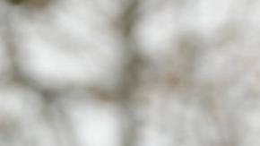 Activistas y jóvenes inmigrantes se manifiestan este martes cerca al Tribunal Supremo y al Congreso en Washington (EE.UU.).