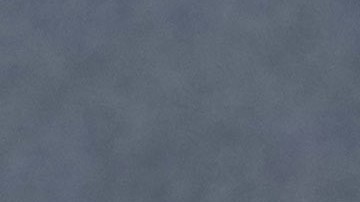 Rick Harrison posando.