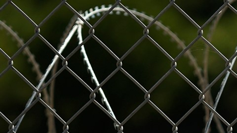 El gobierno de México reportó recientemente una disminución del 75% en el flujo diario de migrantes en la frontera con Estados Unidos
