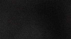 Jefferson Savarino acaba de salir campeón de la Libertadores con Botafogo.