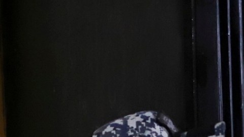 Nayib Bukele mantiene persecución de "los restos" de maras en El Salvador