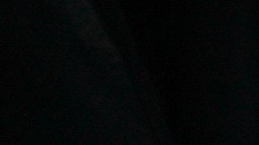 Cayó el ingreso de migrantes irregulares a Panamá a través del Darién