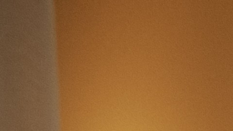 Ofrece a tus invitados una variedad de aperitivos deliciosos.