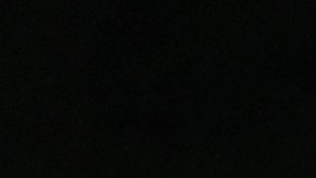 Marca deportiva Adidas