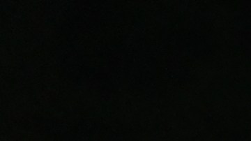 Marca deportiva Adidas