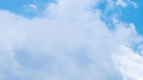 walmart-cierres-2024