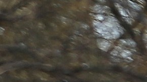 Activista asegura que migrantes hablaban de túnel debajo del río Bravo hace más de un año