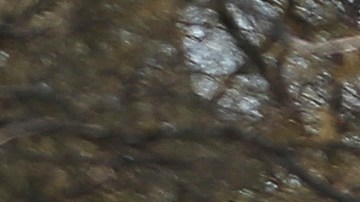 Activista asegura que migrantes hablaban de túnel debajo del río Bravo hace más de un año