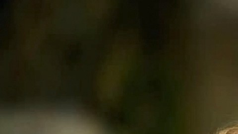 Angelique Boyer y Sebastián Rulli protagonizan "El Extraño Retorno de Diana Salazar".
