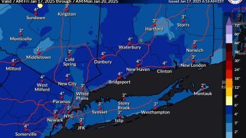 Pronóstico de clima en NY hasta el lunes 20 de enero de 2025.