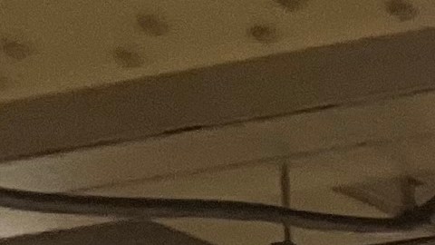 Autoridades de New Jersey buscan concientizar a pasajeros sobre el tráfico humano