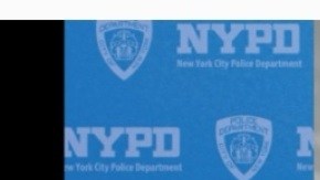 Sospechoso de dos crímenes con puñal en NYC, incluyendo el homicidio de un niño.