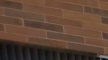 La iniciativa garantizaría la permanencia de medios locales vitales y confiables para las comunidades, amenazados por la irrupción digital