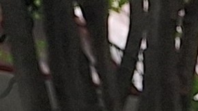 Francisco Marte, líder de la Asociación de Pequeños Negocios y Bodegas de NY proyecta "recargos" en las facturas de algunos clientes y consumidores.