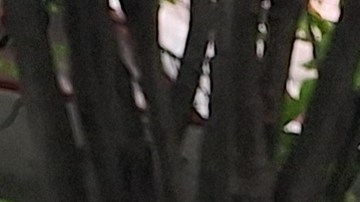 Francisco Marte, líder de la Asociación de Pequeños Negocios y Bodegas de NY proyecta "recargos" en las facturas de algunos clientes y consumidores.