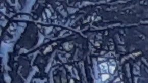 Aún si la nevada es ligera la gente sale a disfrutar en Nueva York/Archivo.