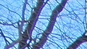 La diáspora de este país suramericano espera el apoyo internacional para una transición democrática.