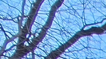 La diáspora de este país suramericano espera el apoyo internacional para una transición democrática.