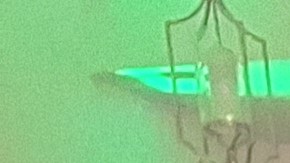 El año de la culebra de madera y la festividad de los Tres Reyes Magos tuvieron un punto de encuentro en Manhattan.