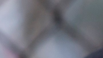 ICE y otras agencias federales iniciaron operativos migratorios en Nueva York.