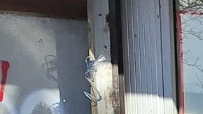 Centenares de neoyorquinos siguen abandonando el estado huyendo del alto costo de la vida.