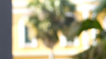 Agricultores boricuas usan criptomonedas en sus negocios