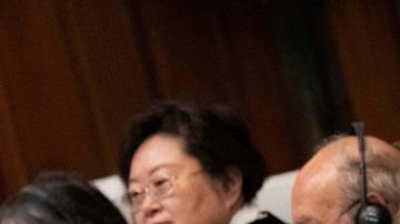 Las autoridades irlandesas presentaron la documentación necesaria para formalizar la "declaración de intervención".