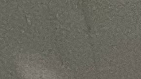 Conductores de limusinas, Apps y repartidores denuncian acoso de autobuses que ayudan a multarlos